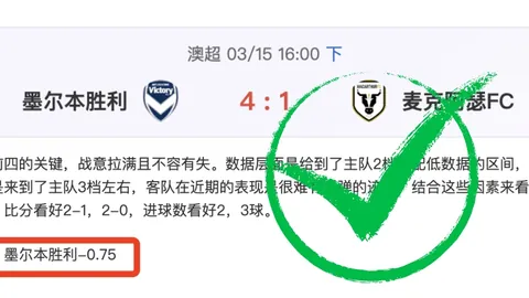 維多維奇20歲未與拜仁續約，孔帕尼續約情況不明